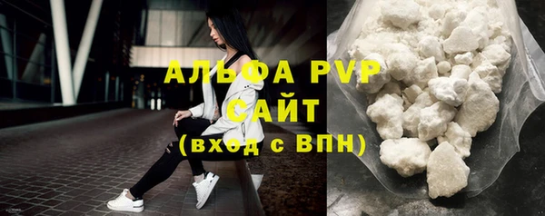 прущие грибы Нягань
