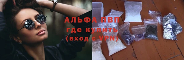 прущие грибы Нягань