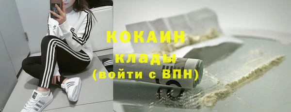 прущие грибы Нягань