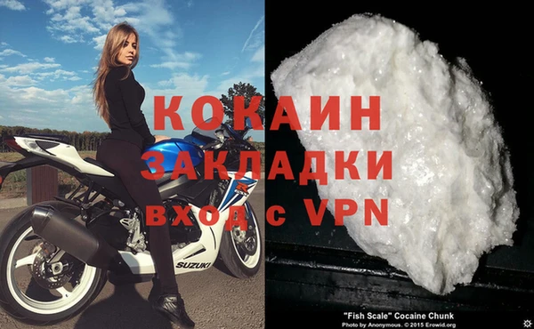прущие грибы Нягань