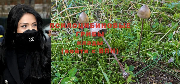 MESCALINE Няндома