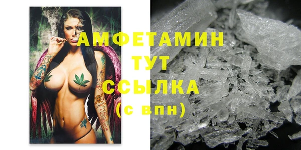 прущие грибы Нягань