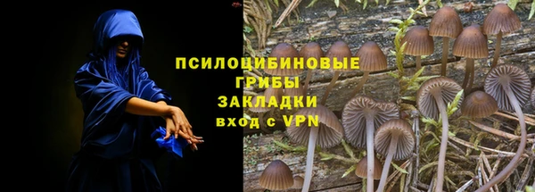 прущие грибы Нягань