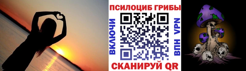 Псилоцибиновые грибы Psilocybine cubensis  Северская 
