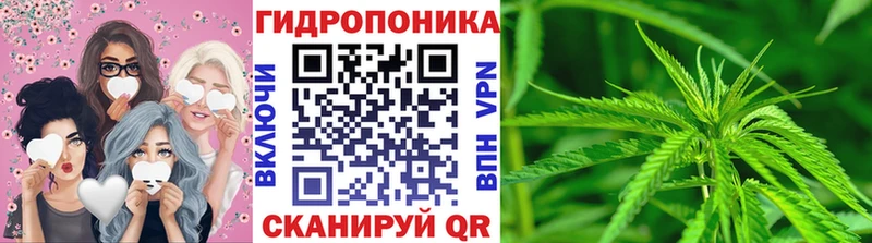 Конопля гибрид  Северская 